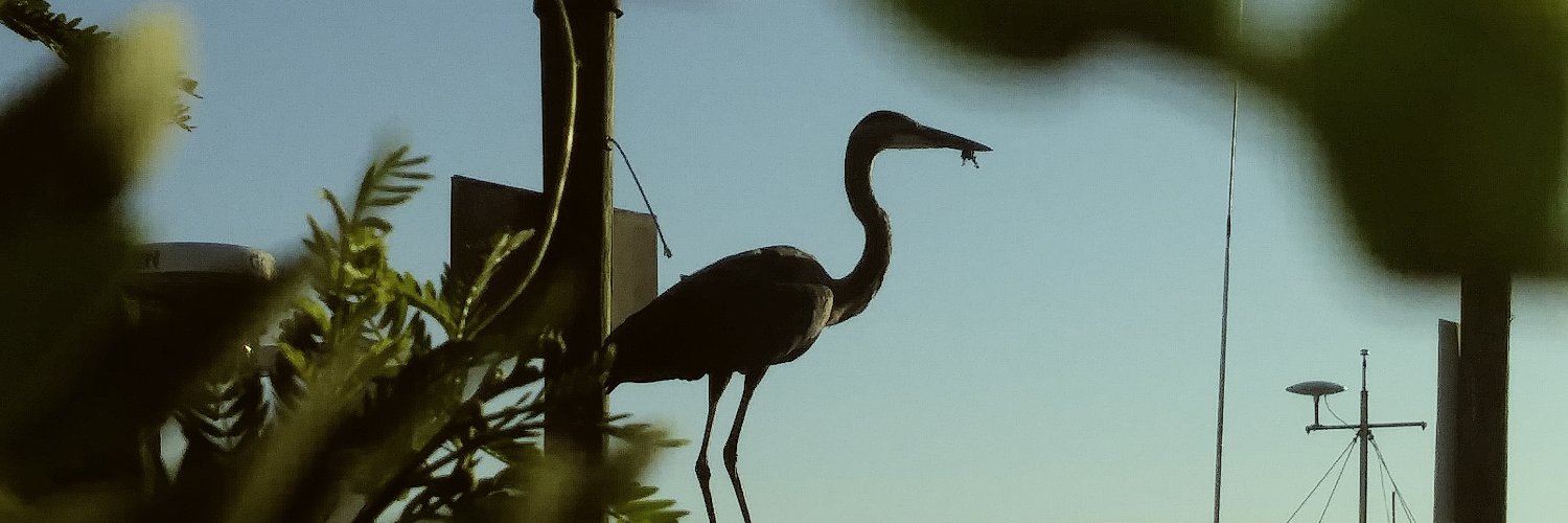 BigJMarks's profile banner image