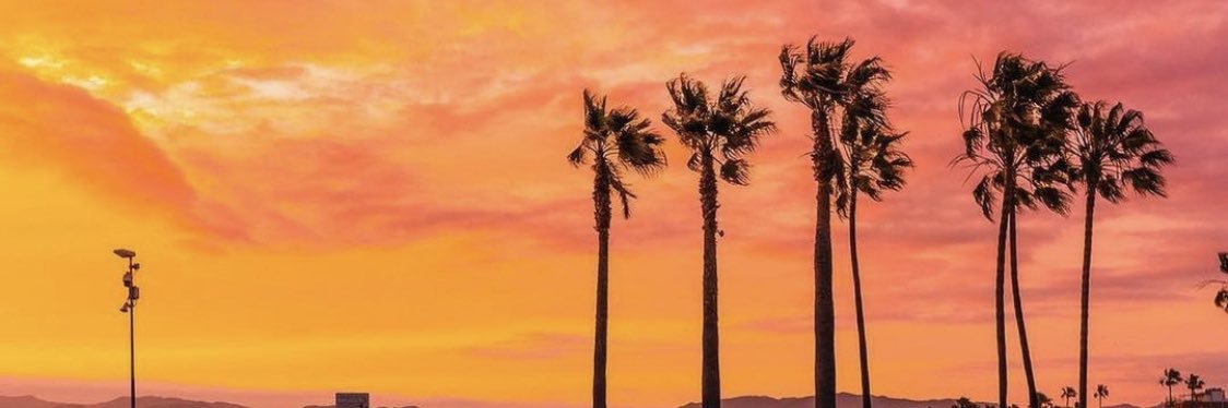 Nick L 🗯  banner