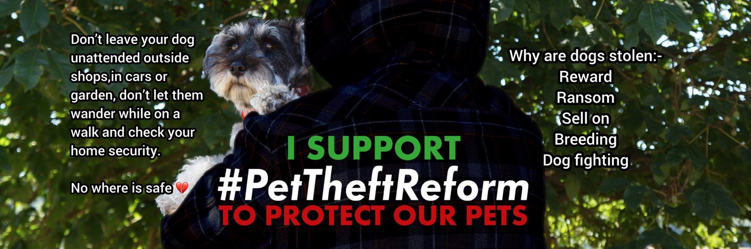 Stolen&Missing Pets's banner