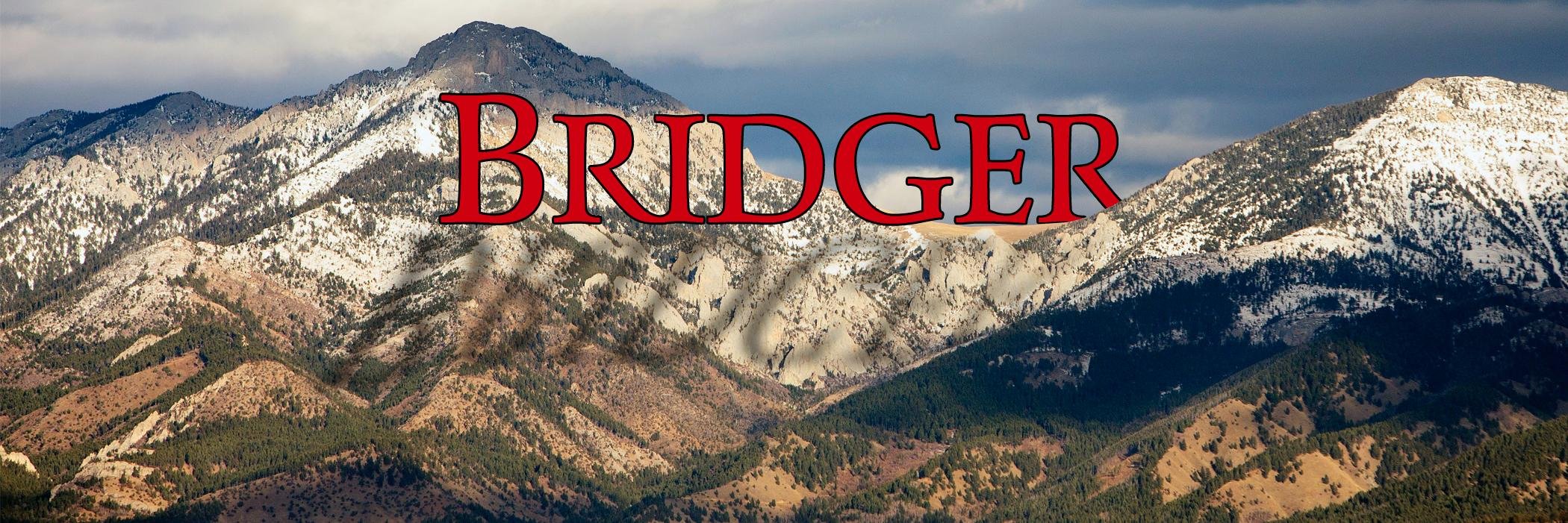 BridgerAmerica's profile banner image