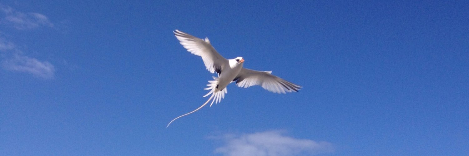 Shari-Lynn 🇧🇲 banner