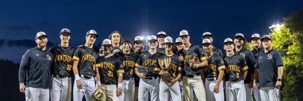 CGPantherBBall Profile Banner