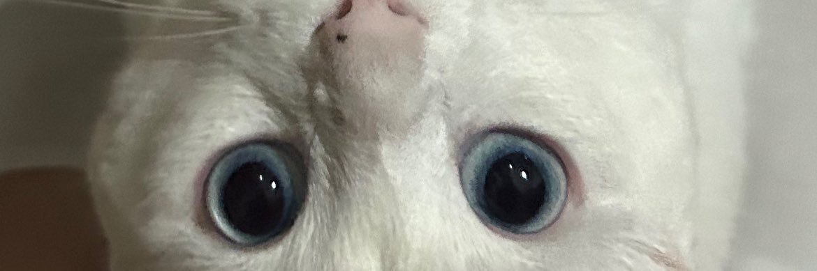 serenaymentes's profile banner image