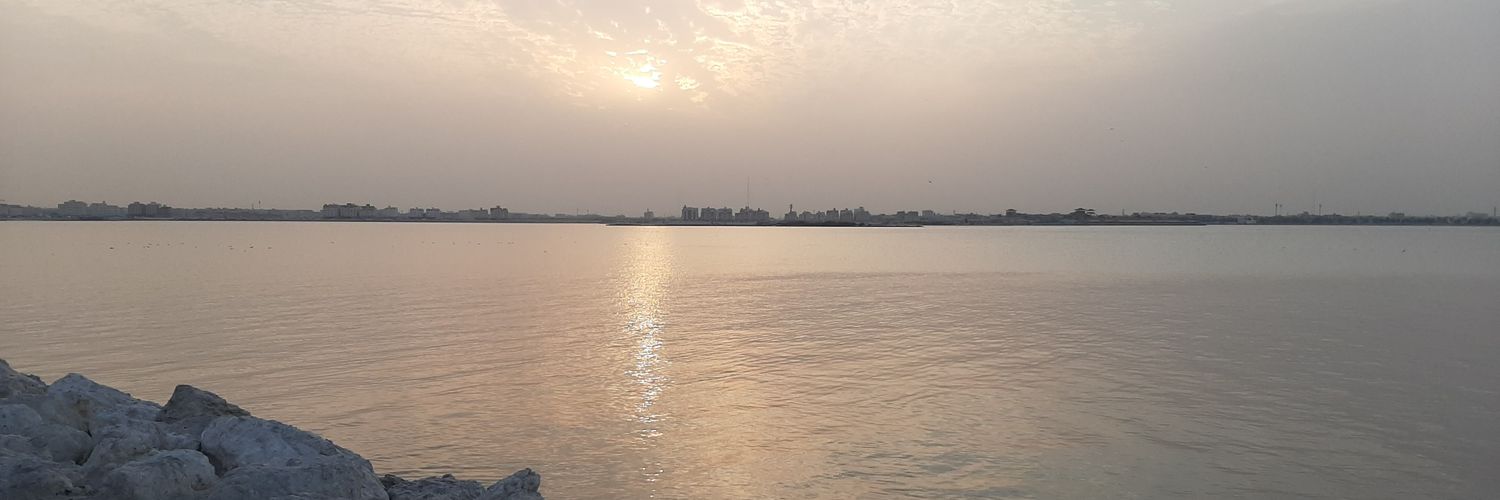 HamzaM391's profile banner image