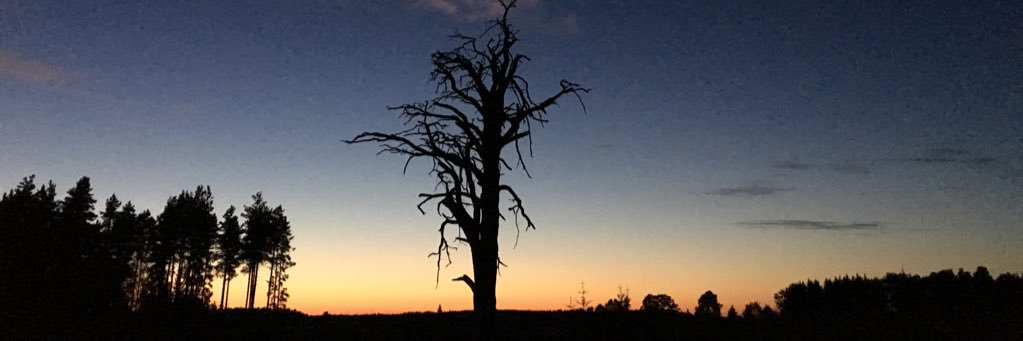andrejbarla's profile banner image