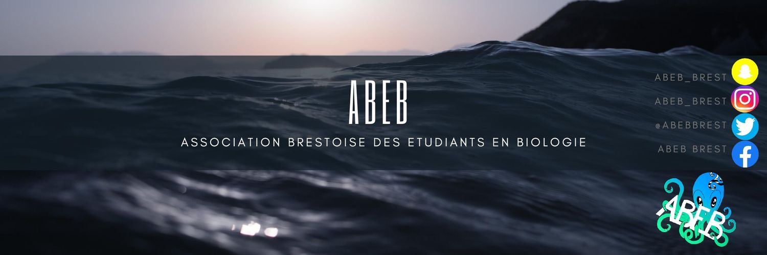 ABEBbrest's profile banner image