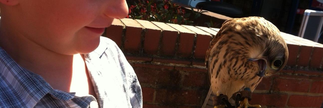 patemanspatch's profile banner image