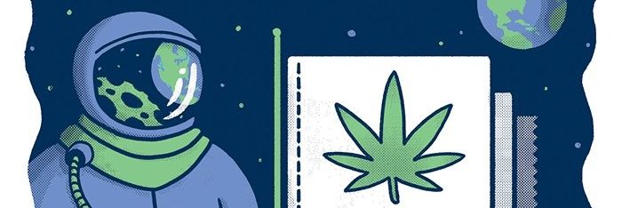 #WeedFriends 2️⃣28 banner