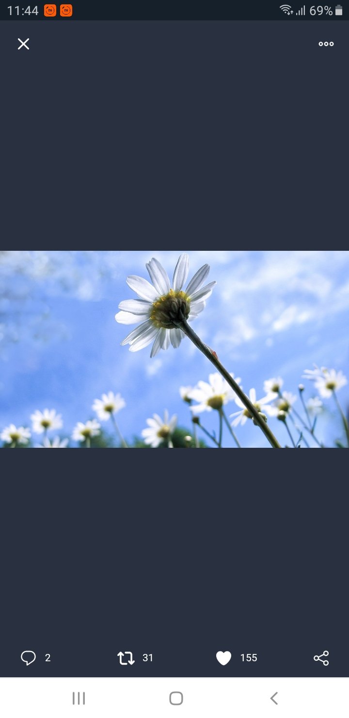 MinettiPablo's profile banner image