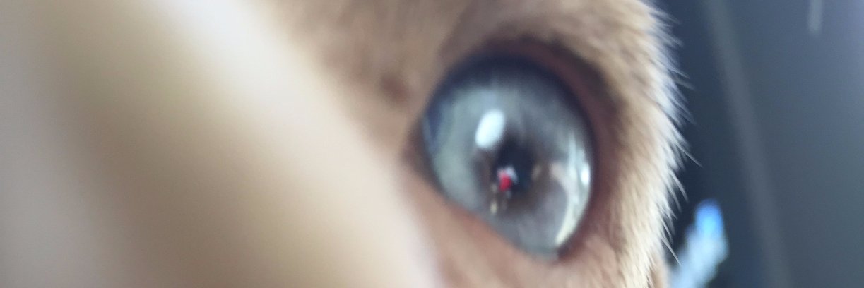 Lizzymty's profile banner image