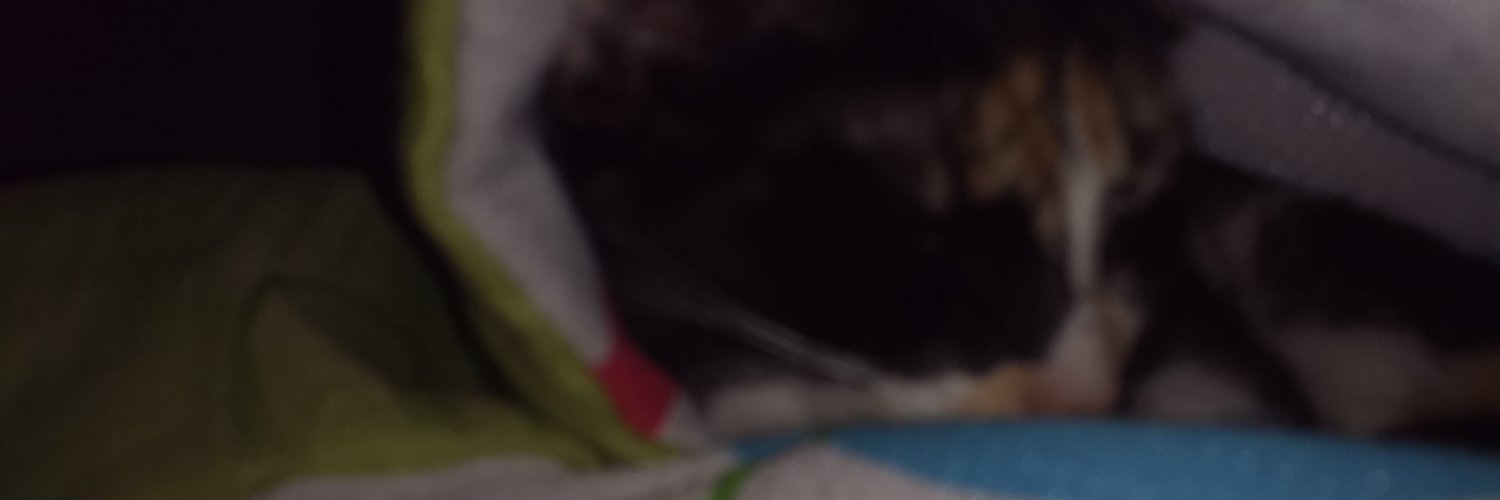 isnotalejo's profile banner image