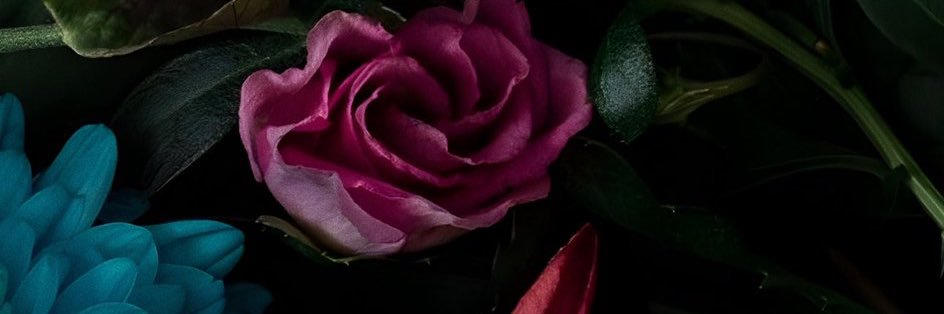 calllistaaa_'s profile banner image