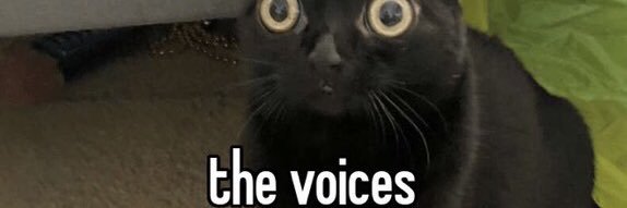 obiwanhot's profile banner image