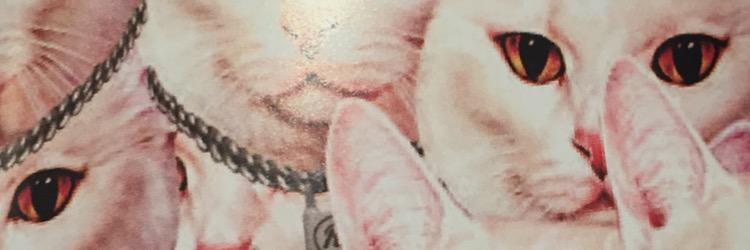 Hero0826's profile banner image