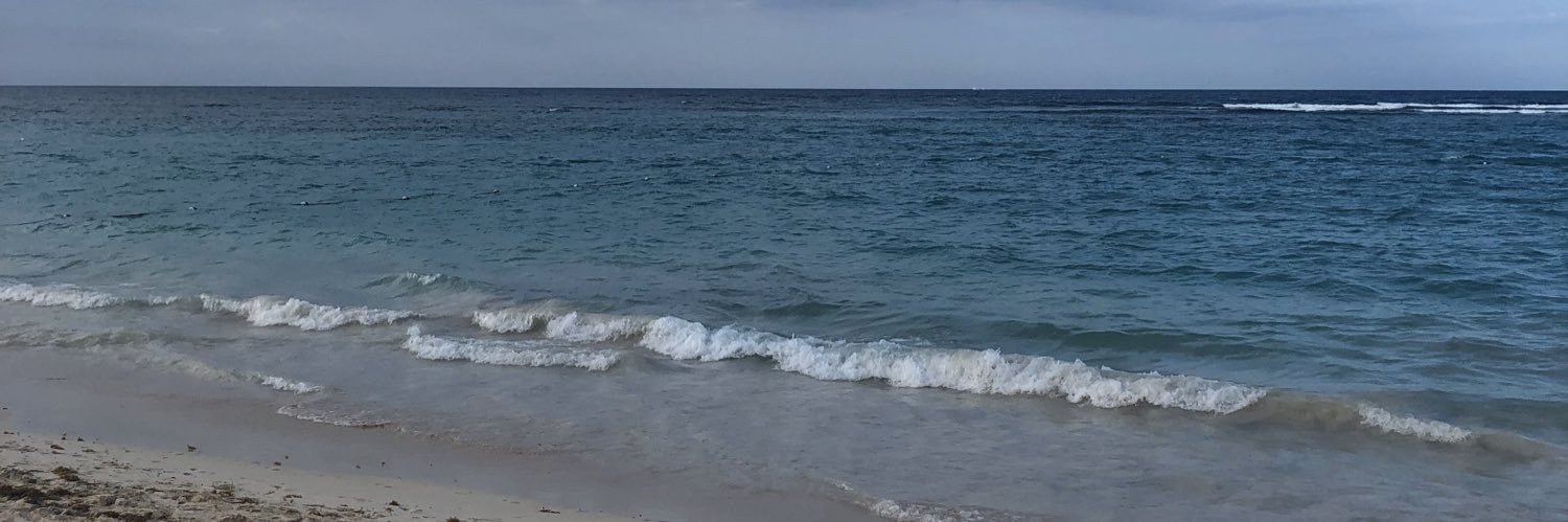 RihannaMims's profile banner image