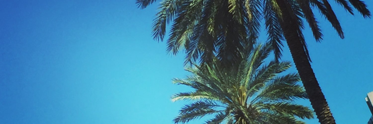 danicambemis's profile banner image