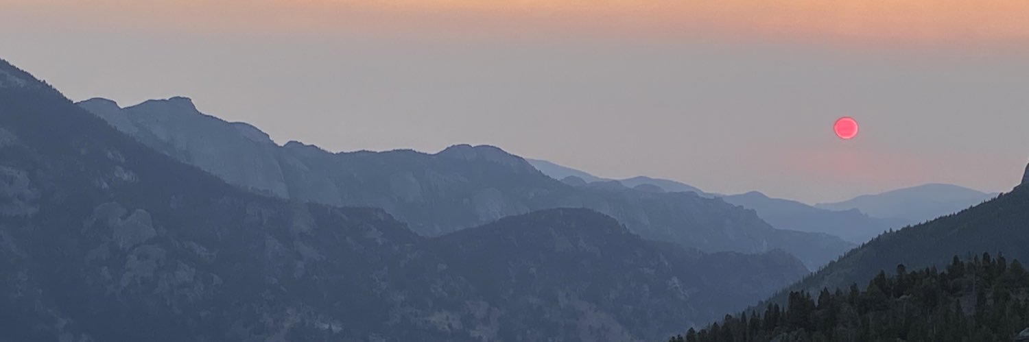 Terri Fullerton banner