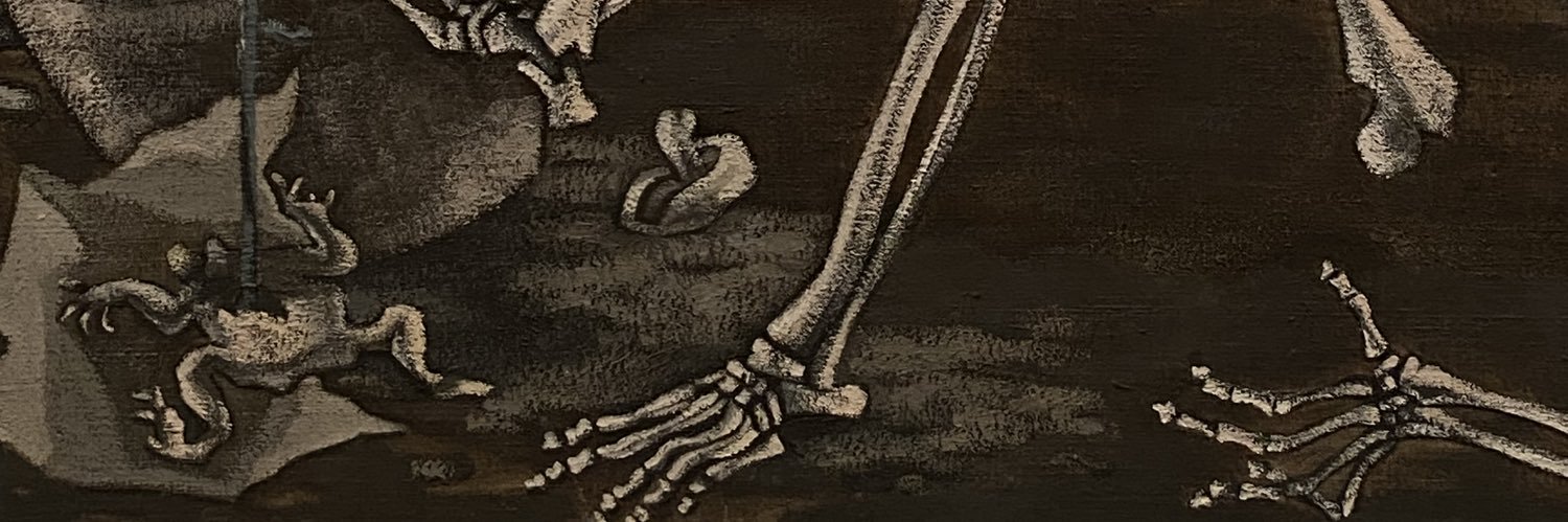 laika virgin banner