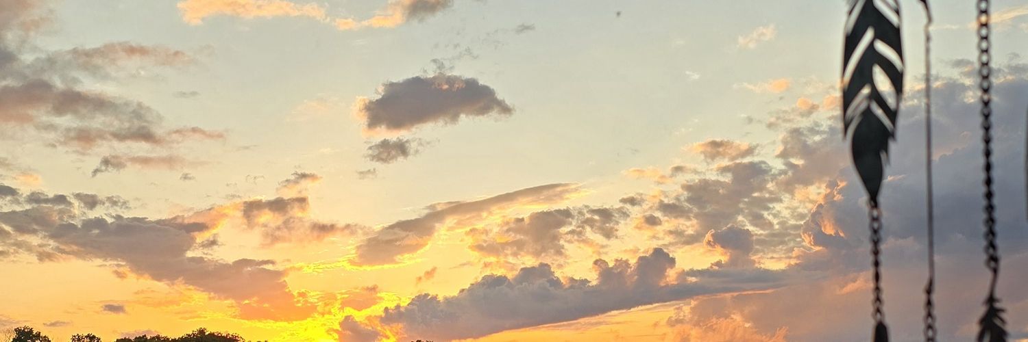 recebriscoe's profile banner image
