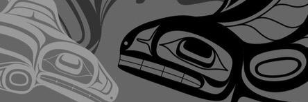 Columbia Lacrosse banner