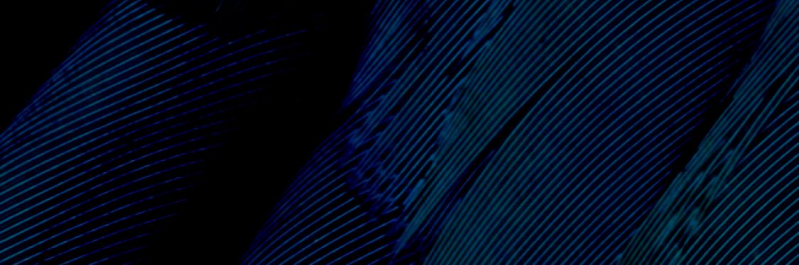 ak5_1's profile banner image