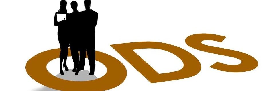 ODS_Success's profile banner image