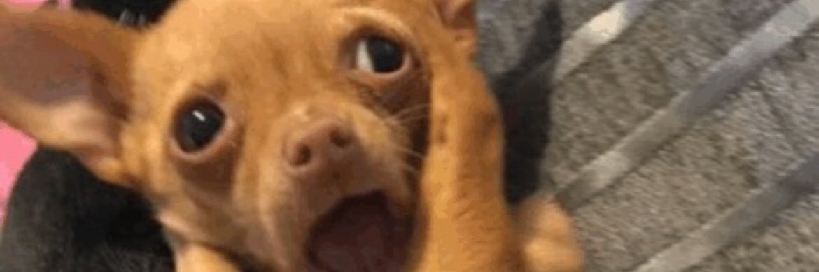 Matt707Lai's profile banner image