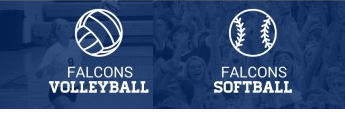 NF_LadyFalcons's profile banner image
