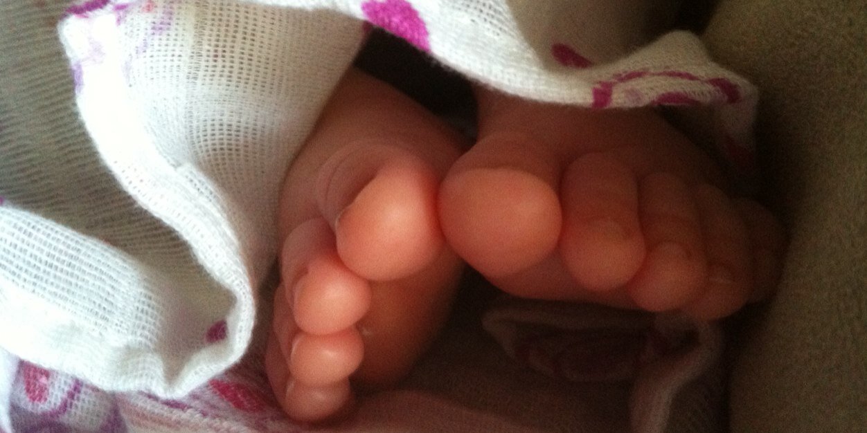 Gisela Torns Payà banner