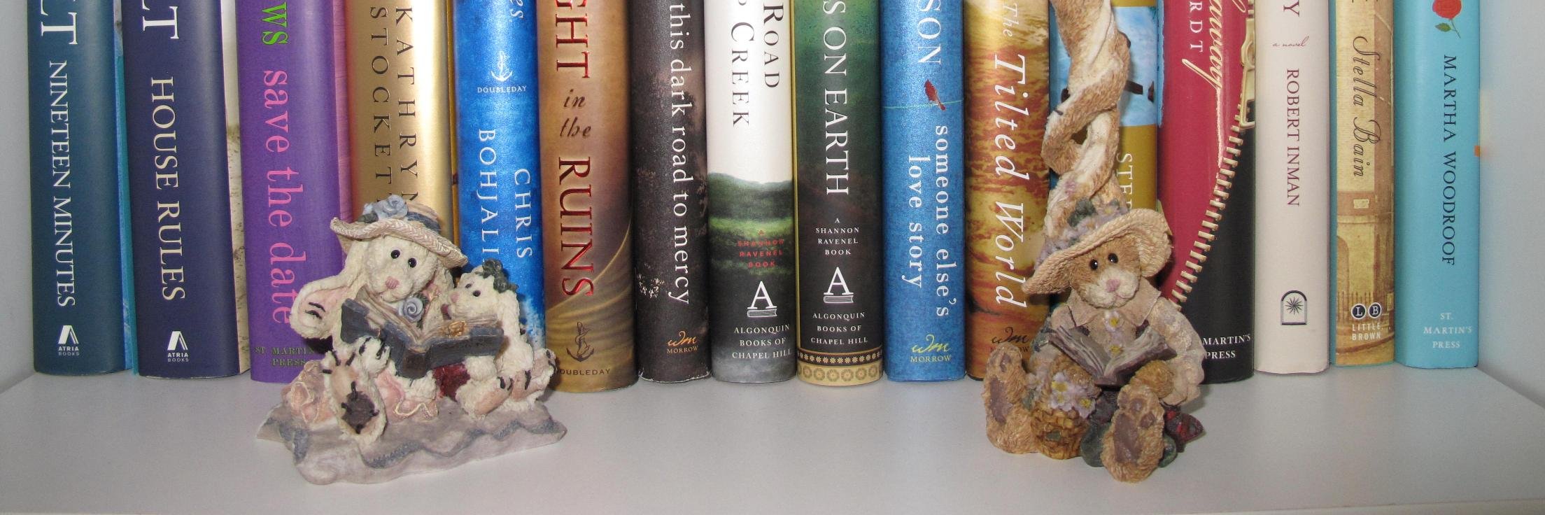 OnDBookshelf's profile banner image