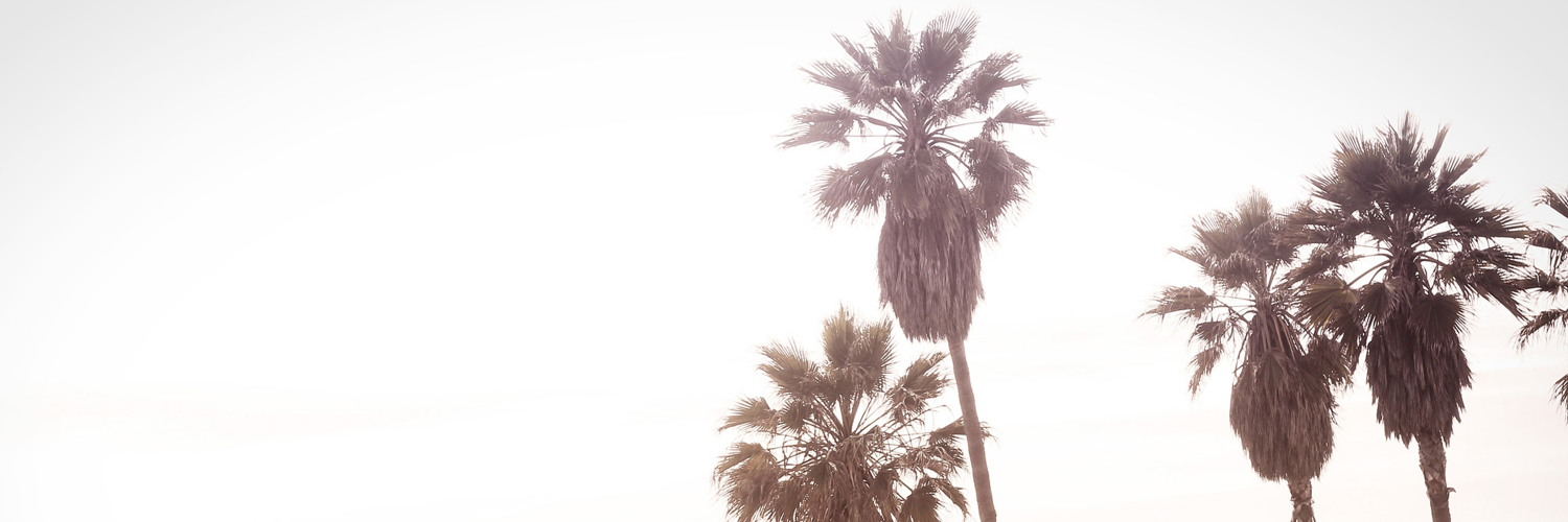 nxtlvlit's profile banner image