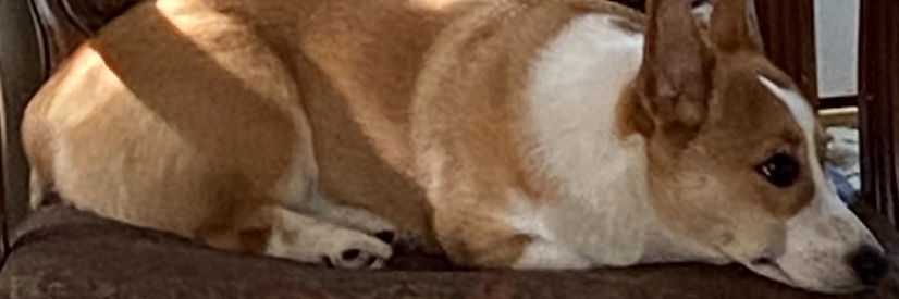 gabe397's profile banner image