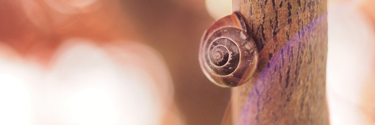 Tillyapps's profile banner image