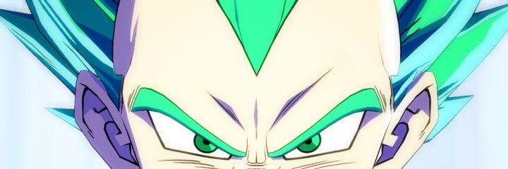 Jirva banner