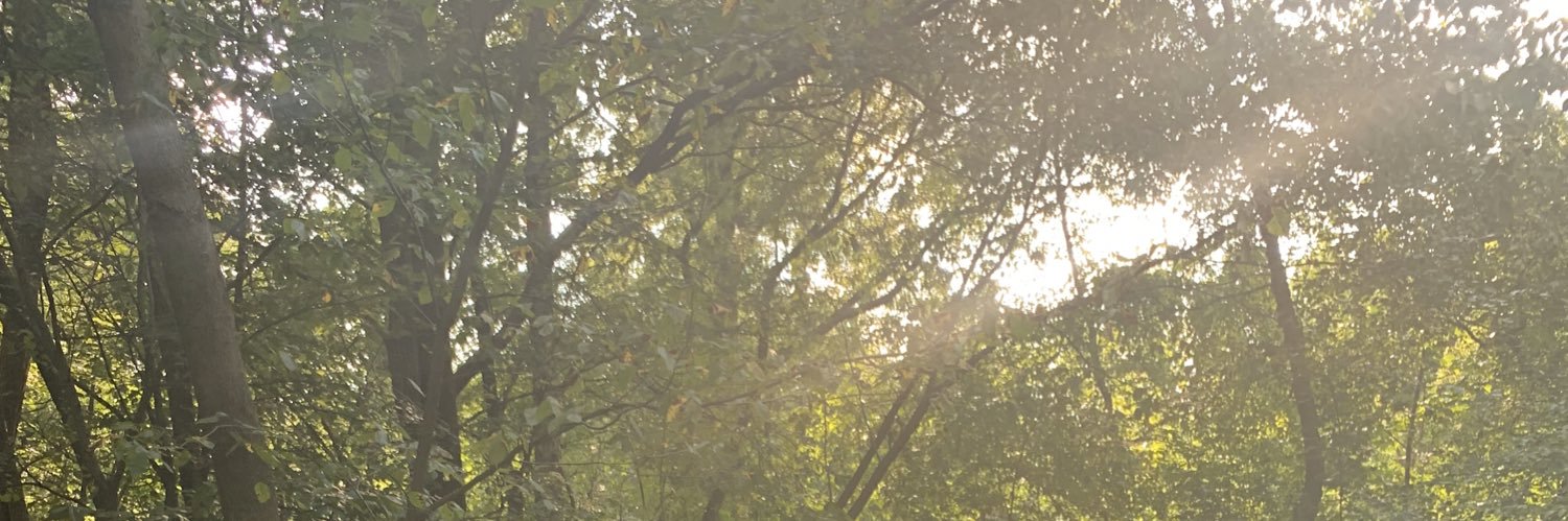 JayGriity's profile banner image