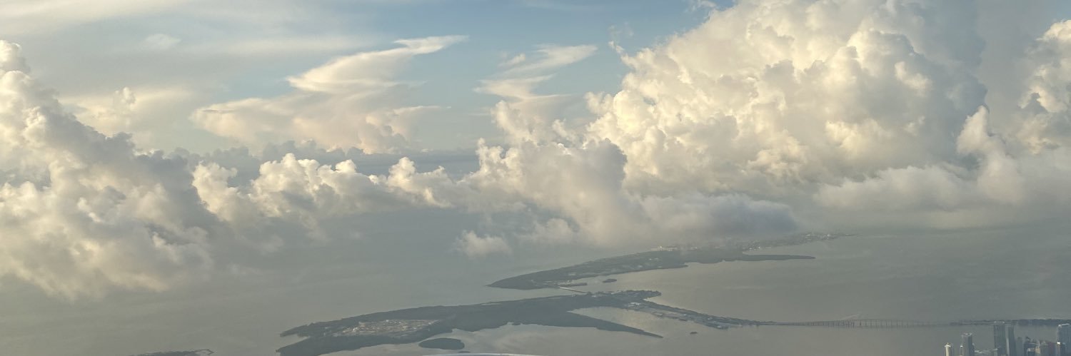 natalieshrem's profile banner image