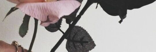 Afonso09_'s profile banner image