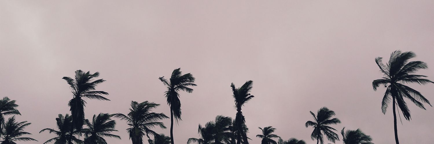 flmultoni's profile banner image