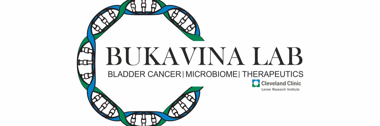 Laura Bukavina banner