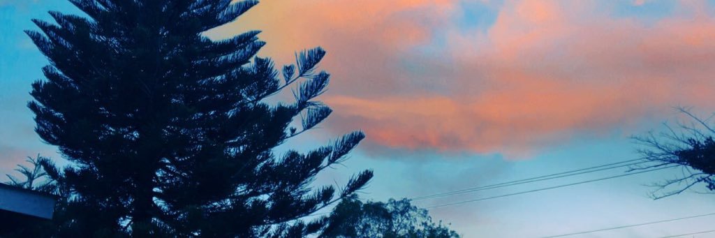 therealjaavi's profile banner image