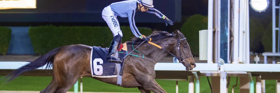 alazma503's profile banner image