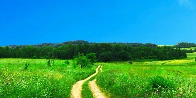 Ha33ad's profile banner image