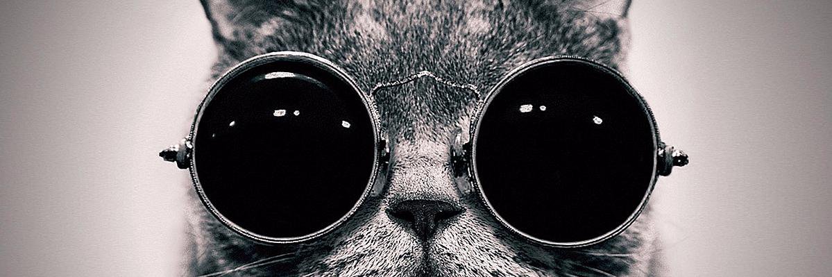 _onbaileys's profile banner image