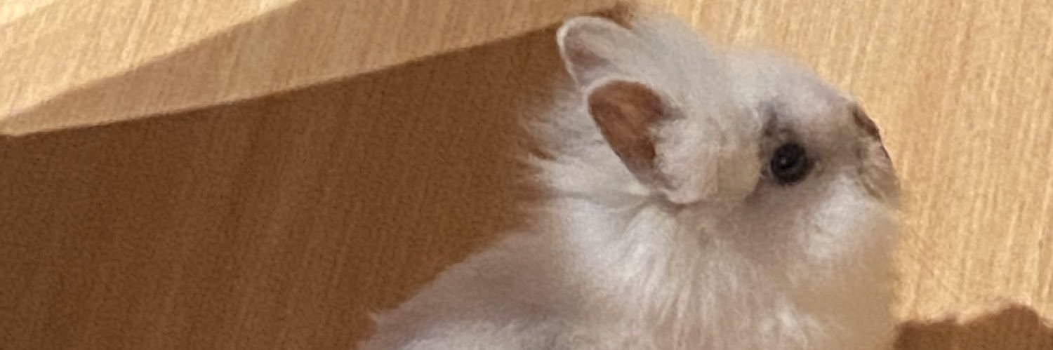 chlo1000s's profile banner image