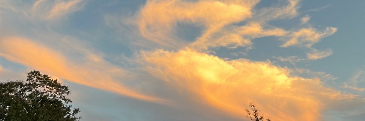 danibertolio's profile banner image