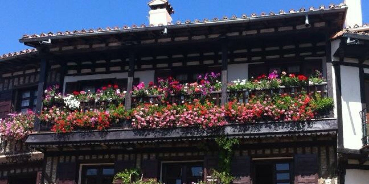 vivelaalberca's profile banner image