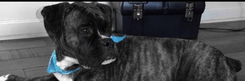 dannylugo29's profile banner image