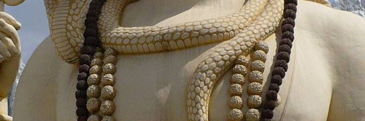 Darlene Gallagher banner