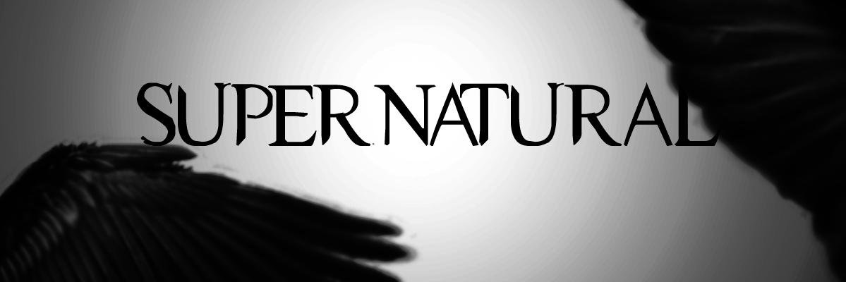 Jörg Piepel banner