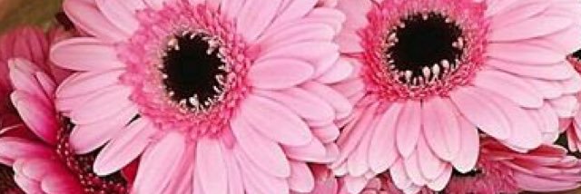 prir2711's profile banner image